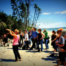 2012 ECORD Summer Schools